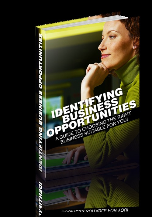 Product picture Identifying Business Opportunities