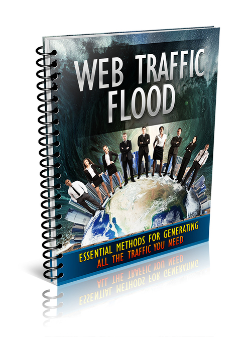 Product picture Web Traffic Flood